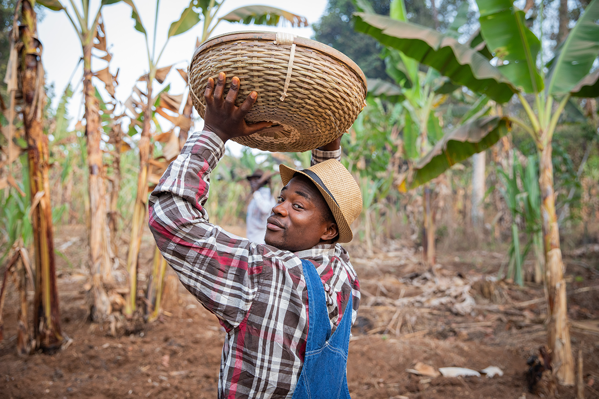 farmer basket